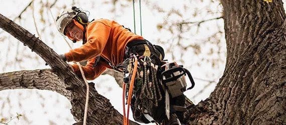 Jonathan après effectuer un entretien d'arbres à granby