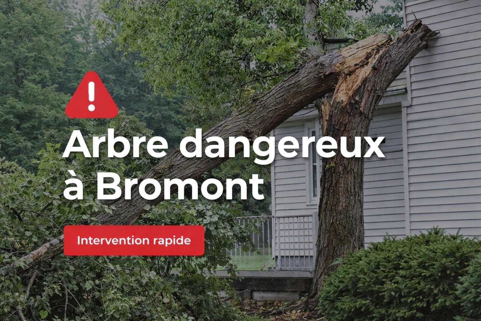 Arbre dangereux à Bromont penché et endommagé près d’une maison nécessitant un abattage sécuritaire