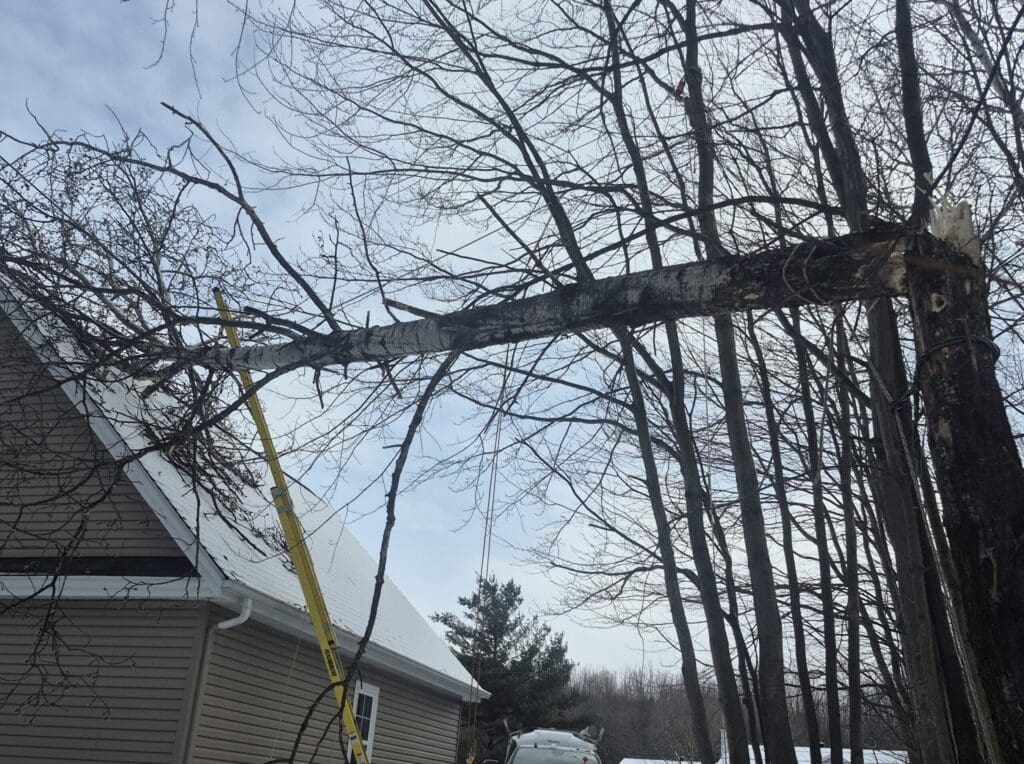 Arbre tombé sur une maison après une tempête – situation d’urgence nécessitant un abattage sécuritaire
