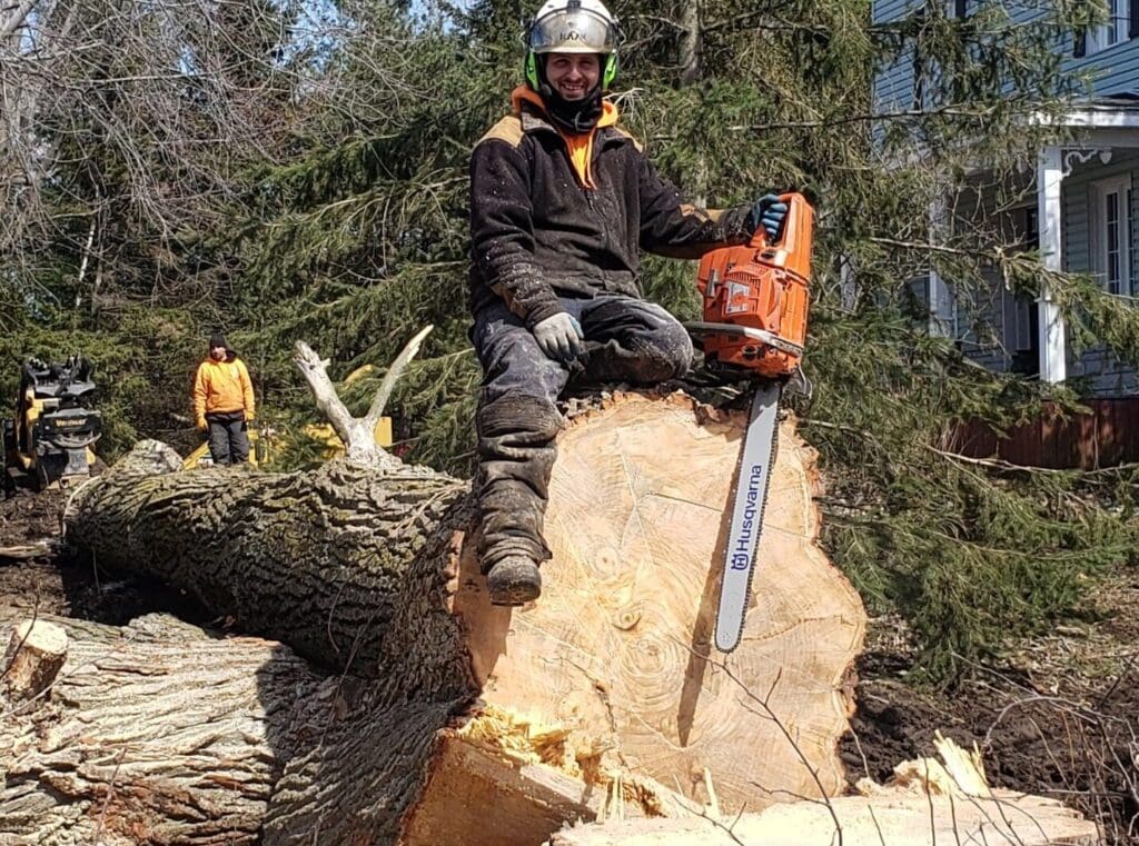 Abattage d’arbre avec tronçonneuse par arboriculteur – coupe de tronc sur terrain résidentiel à Granby