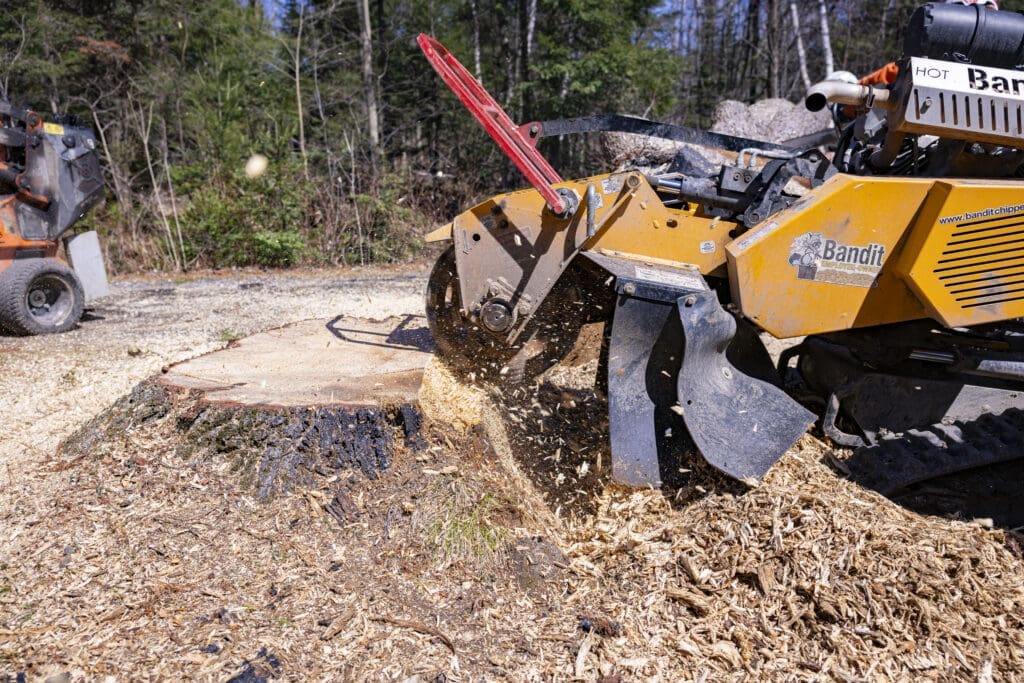 Abattage d’arbre avec pelle mécanique et pince forestière