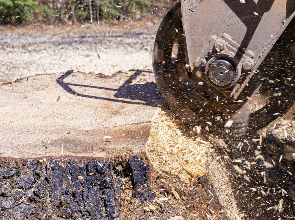 Essouchage d’arbre avec machinerie spécialisée – retrait de souche dans une cour résidentielle à Granby