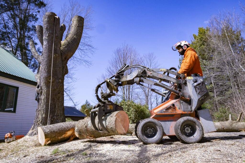 Mini-chargeuse sur roues avec pince manipulant un tronc d’arbre après abattage