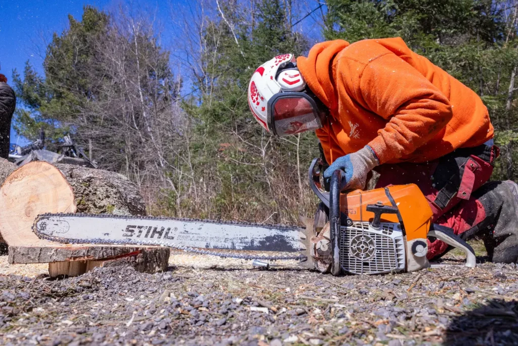 arboriculteur à Lac-Brome coupant un tronc d’arbre avec une scie mécanique lors d’un abattage sécurisé