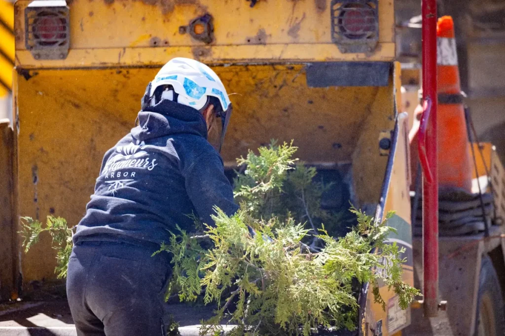 Arboriculteur à Shefford effectuant le broyage de branches après l’abattage d’un arbre